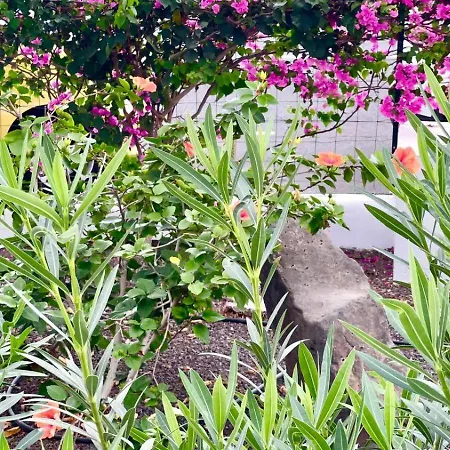 アパート Sunset En Cristianos アロナ